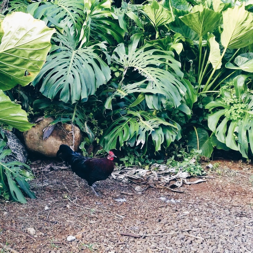 Meet your Posher, Sue